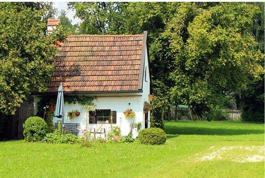 High roof garden or backyard she shed