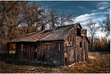 Dilapidated cabin in the woods